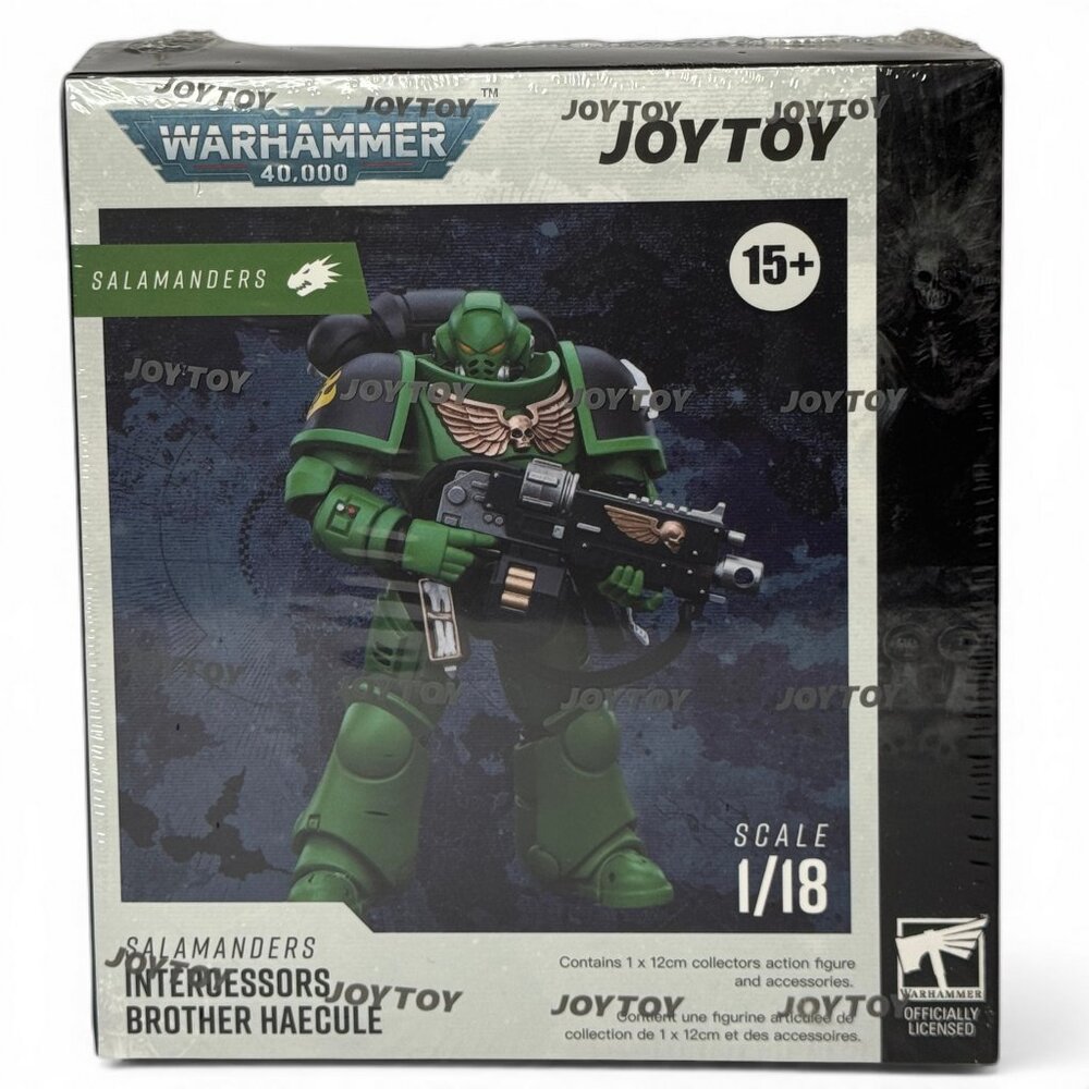 JoyToy Warhammer 40K Salamanders Intercessors Brother Haecule 1/18 Figure JT5222